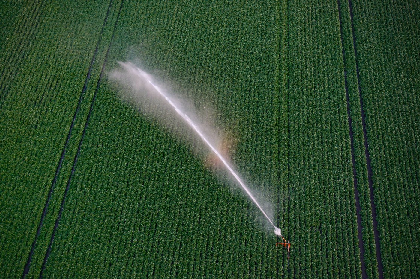 Riego de precisión sobre cultivo — sensórica de humedad y control automático de caudal.